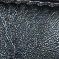 color swatch from the Black Vani purse