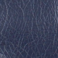 color swatch from the Black Vani purse