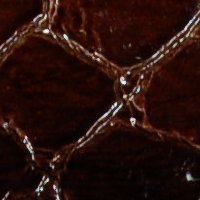 color swatch from the Dark Brown Vani purse