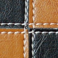 color swatch from the Black/Tan Vani purse