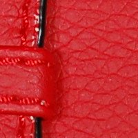 color swatch from the Red Vani purse