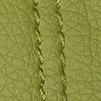 color swatch from the Lime Green Vani purse