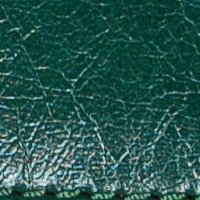 color swatch from the Pine Green Vani purse