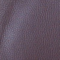 color swatch from the Coffee Vani purse