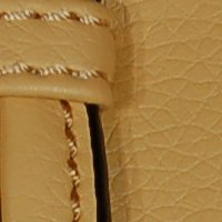 color swatch from the Tan Vani purse