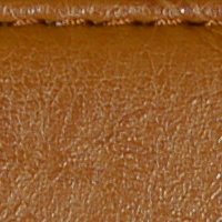 color swatch from the Tan Vani purse