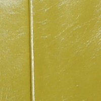 color swatch from the Pear Vani purse