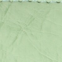 color swatch from the Neon Green Vani purse