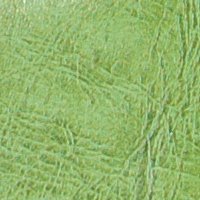 color swatch from the Emerald Vani purse