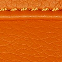 color swatch from the Orange Vani purse