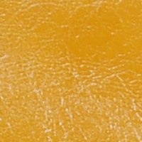 color swatch from the Goldenrod Vani purse