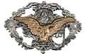 perched spread eagle on brass and pewter western belt buckle