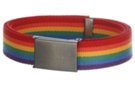 military-style web belt, rainbow stripes, nickel polish buckle