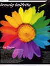rainbow colored daisy