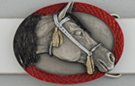 painted oval western buckle, side view of Arabian horse head