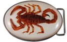 red scorpion in resin on belt buckle