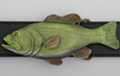 painted pewter life-like bass fish buckle with bottle opener