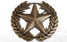 Roman star and laurel crown large western belt buckle