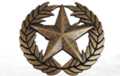 Roman star and laurel crown large western belt buckle